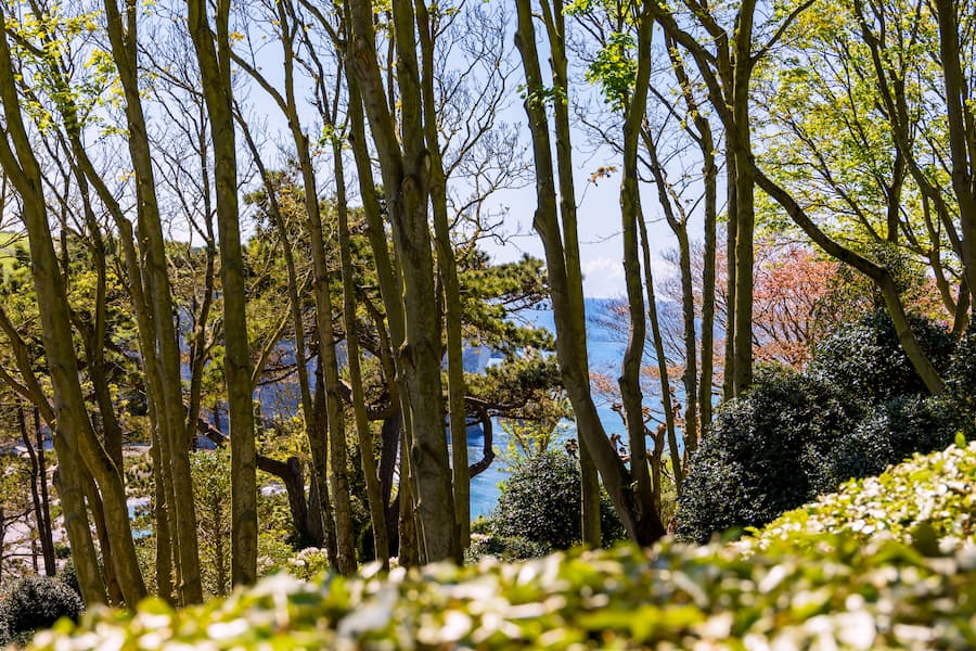 Vue de la côte depuis les jardins d'Etretat